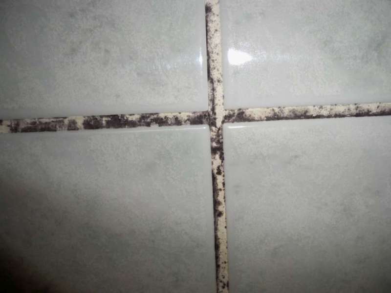 BAU.DE / BAU-Forum: 1. Bild zu Antwort "Vielen Dank für die schnellen Antworten..." auf die Frage "Fliesenfugen im Bad erneuern auf Gipskarton: Anleitung, Kosten & Risiken?" im BAU-Forum "Ausbauarbeiten" BAU.DE / BAU-Forum: 1. Bild zu Antwort "Vielen Dank für die schnellen Antworten..." auf die Frage "Fliesenfugen im Bad erneuern auf Gipskarton: Anleitung, Kosten & Risiken?" im BAU-Forum "Ausbauarbeiten"