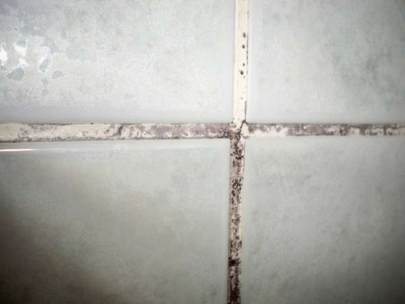 BAU.DE / BAU-Forum: 2. Bild zu Antwort "Vielen Dank für die schnellen Antworten..." auf die Frage "Fliesenfugen im Bad erneuern auf Gipskarton: Anleitung, Kosten & Risiken?" im BAU-Forum "Ausbauarbeiten" BAU.DE / BAU-Forum: 2. Bild zu Antwort "Vielen Dank für die schnellen Antworten..." auf die Frage "Fliesenfugen im Bad erneuern auf Gipskarton: Anleitung, Kosten & Risiken?" im BAU-Forum "Ausbauarbeiten"