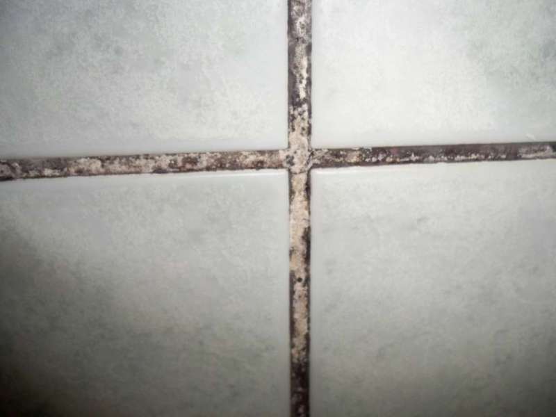 BAU.DE / BAU-Forum: 3. Bild zu Antwort "Vielen Dank für die schnellen Antworten..." auf die Frage "Fliesenfugen im Bad erneuern auf Gipskarton: Anleitung, Kosten & Risiken?" im BAU-Forum "Ausbauarbeiten" BAU.DE / BAU-Forum: 3. Bild zu Antwort "Vielen Dank für die schnellen Antworten..." auf die Frage "Fliesenfugen im Bad erneuern auf Gipskarton: Anleitung, Kosten & Risiken?" im BAU-Forum "Ausbauarbeiten"