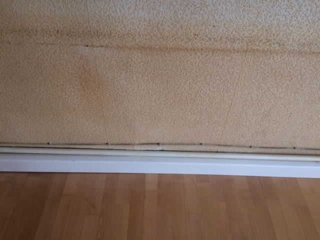 BAU.DE / BAU-Forum: 2. Bild zu Frage "Flecken nach Isoliergrundierung durch Maler" im BAU-Forum "Ausbauarbeiten" BAU.DE / BAU-Forum: 2. Bild zu Frage "Flecken nach Isoliergrundierung durch Maler" im BAU-Forum "Ausbauarbeiten"