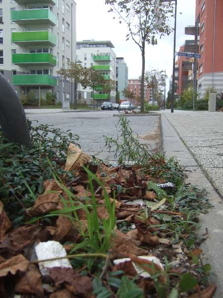 BAU.DE / BAU-Forum: 3. Bild zu Antwort "WDVS-Dämmungswahn: Kritik an Schimmelbuden und Umweltverschmutzung" auf die Frage "WDVS Dämmplatten Farben (weiß, grau, rosa): Unterschiede, Vor- & Nachteile?" im BAU-Forum "Außenwände und Fassaden" BAU.DE / BAU-Forum: 3. Bild zu Antwort "WDVS-Dämmungswahn: Kritik an Schimmelbuden und Umweltverschmutzung" auf die Frage "WDVS Dämmplatten Farben (weiß, grau, rosa): Unterschiede, Vor- & Nachteile?" im BAU-Forum "Außenwände und Fassaden"