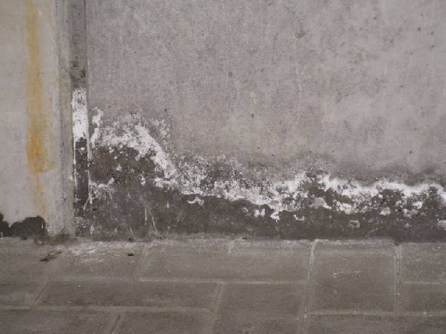 Bild zum BAU-Forumsbeitrag: Salz auf Betonsockel in TG im Forum Außenwände und Fassaden