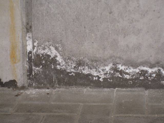 BAU.DE / BAU-Forum: 1. Bild zu Frage "Salzausblühungen auf Beton in Tiefgarage: Ursachen, Risiken & Sanierungskosten?" im BAU-Forum "Außenwände und Fassaden" BAU.DE / BAU-Forum: 1. Bild zu Frage "Salzausblühungen auf Beton in Tiefgarage: Ursachen, Risiken & Sanierungskosten?" im BAU-Forum "Außenwände und Fassaden"