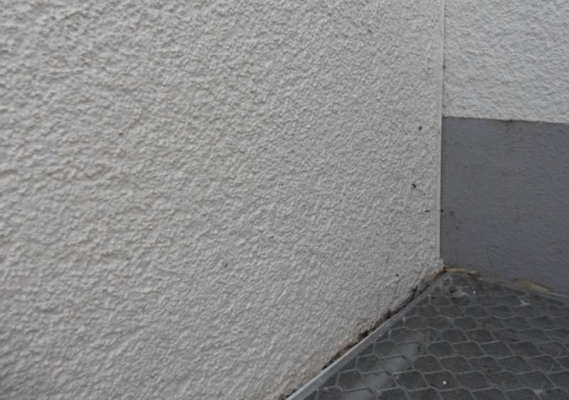 BAU.DE / BAU-Forum: 2. Bild zu Antwort "Sockelputz-Schaden: Fotos zur Beurteilung – Fassadensanierung" auf die Frage "Außenputz entfernen & Sockelputz anbringen: Anleitung, Kosten & Risiken bei Feuchtigkeit?" im BAU-Forum "Außenwände und Fassaden" BAU.DE / BAU-Forum: 2. Bild zu Antwort "Sockelputz-Schaden: Fotos zur Beurteilung – Fassadensanierung" auf die Frage "Außenputz entfernen & Sockelputz anbringen: Anleitung, Kosten & Risiken bei Feuchtigkeit?" im BAU-Forum "Außenwände und Fassaden"