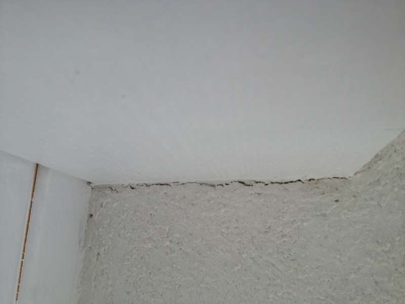 BAU.NET - Forum - Außenwände und Fassaden - 15046: Holzuntersicht