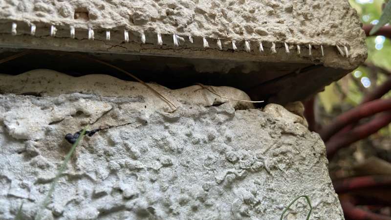 BAU.DE / BAU-Forum: 2. Bild zu Frage "Keller Außenwanddämmung verschoben: Abdichtung nötig? Kosten, Methoden & Risiken" im BAU-Forum "Außenwände und Fassaden" BAU.DE / BAU-Forum: 2. Bild zu Frage "Keller Außenwanddämmung verschoben: Abdichtung nötig? Kosten, Methoden & Risiken" im BAU-Forum "Außenwände und Fassaden"