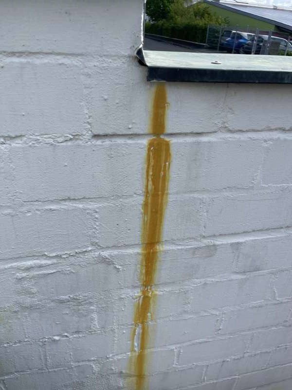 BAU.DE / BAU-Forum: 1. Bild zu Frage "Gelbe Flecken an Gartenmauer mit Blech: Ursachen, Entfernung & Vorbeugung?" im BAU-Forum "Außenwände und Fassaden" BAU.DE / BAU-Forum: 1. Bild zu Frage "Gelbe Flecken an Gartenmauer mit Blech: Ursachen, Entfernung & Vorbeugung?" im BAU-Forum "Außenwände und Fassaden"