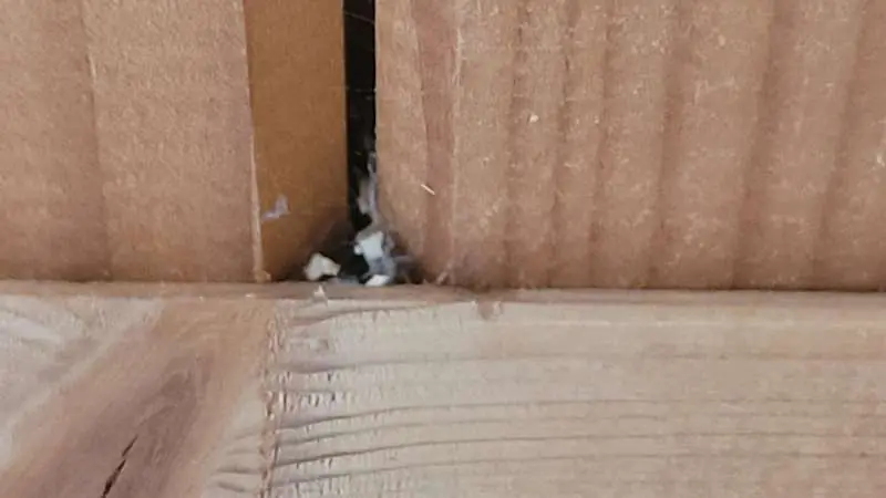 BAU.DE / BAU-Forum: 3. Bild zu Frage "Schädlinge in Dämmung/Decke: Holzstaub, Identifizierung, Bekämpfung & Kosten?" im BAU-Forum "Außenwände und Fassaden" BAU.DE / BAU-Forum: 3. Bild zu Frage "Schädlinge in Dämmung/Decke: Holzstaub, Identifizierung, Bekämpfung & Kosten?" im BAU-Forum "Außenwände und Fassaden"