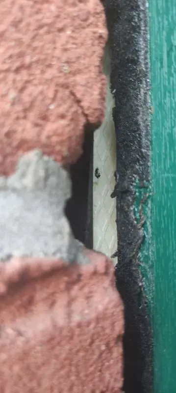 BAU.DE / BAU-Forum: 2. Bild zu Frage "Komprimierband am Fenster wechseln: Schwarze Folie – Wo anbringen? Anleitung & Tipps" im BAU-Forum "Außenwände und Fassaden" BAU.DE / BAU-Forum: 2. Bild zu Frage "Komprimierband am Fenster wechseln: Schwarze Folie – Wo anbringen? Anleitung & Tipps" im BAU-Forum "Außenwände und Fassaden"