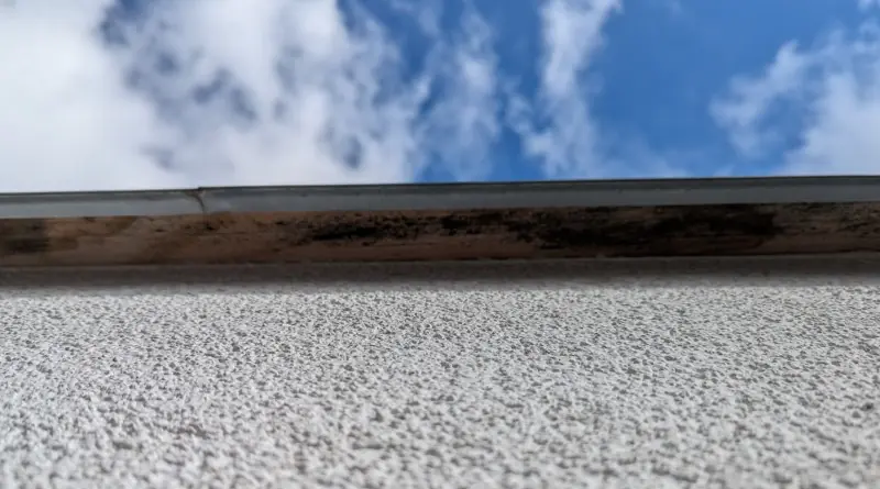 BAU.DE / BAU-Forum: 1. Bild zu Frage "Schwarze Flecken Bauholz Garage: Schimmel oder harmlose Verfärbung? Ursachen & Sanierung" im BAU-Forum "Außenwände und Fassaden" BAU.DE / BAU-Forum: 1. Bild zu Frage "Schwarze Flecken Bauholz Garage: Schimmel oder harmlose Verfärbung? Ursachen & Sanierung" im BAU-Forum "Außenwände und Fassaden"