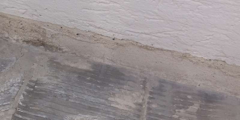 BAU.DE / BAU-Forum: 1. Bild zu Frage "Terrassenputz reparieren nach Fliesenentfernung: Anleitung, Material & Kosten?" im BAU-Forum "Balkon und Terrasse" BAU.DE / BAU-Forum: 1. Bild zu Frage "Terrassenputz reparieren nach Fliesenentfernung: Anleitung, Material & Kosten?" im BAU-Forum "Balkon und Terrasse"