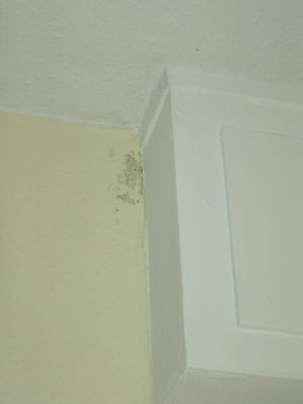 BAU.DE / BAU-Forum: 2. Bild zu Antwort "Die DIN 4108-2 löst nicht alle Probleme" auf die Frage "Wärmebrückenberechnung: Nachweis bei Abweichung von Normbedingungen – Vorgehen & Kosten?" im BAU-Forum "Bauphysik" BAU.DE / BAU-Forum: 2. Bild zu Antwort "Die DIN 4108-2 löst nicht alle Probleme" auf die Frage "Wärmebrückenberechnung: Nachweis bei Abweichung von Normbedingungen – Vorgehen & Kosten?" im BAU-Forum "Bauphysik"