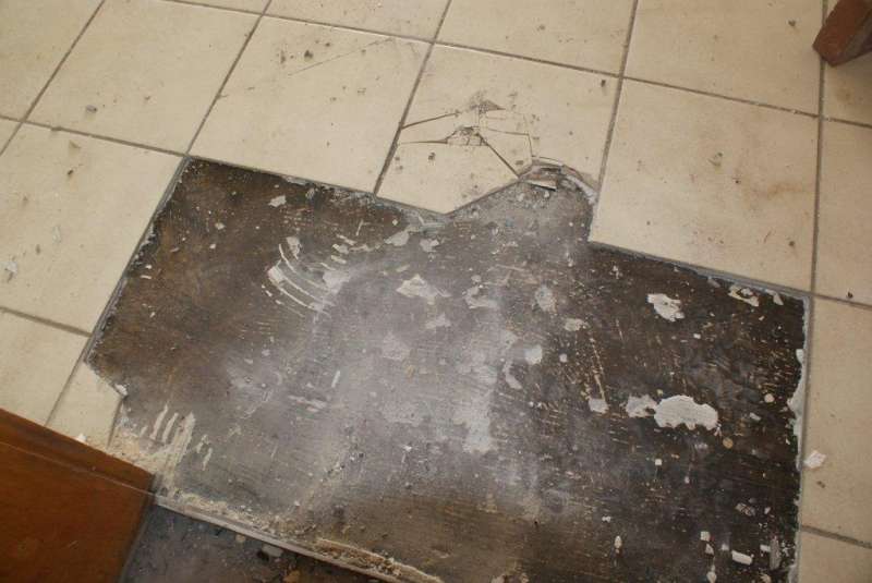BAU.DE / BAU-Forum: 4. Bild zu Frage "Bodenplatten identifizieren: Material, Alter & potentielle Gefahren im Altbau?" im BAU-Forum "Baustoffe" BAU.DE / BAU-Forum: 4. Bild zu Frage "Bodenplatten identifizieren: Material, Alter & potentielle Gefahren im Altbau?" im BAU-Forum "Baustoffe"
