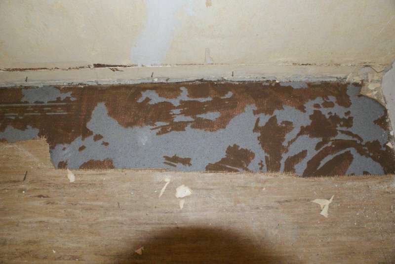 BAU.DE / BAU-Forum: 1. Bild zu Antwort "Zusatzinfo: Asbestanalyse der grauen Pappe im Altbau?" auf die Frage "Bodenplatten identifizieren: Material, Alter & potentielle Gefahren im Altbau?" im BAU-Forum "Baustoffe" BAU.DE / BAU-Forum: 1. Bild zu Antwort "Zusatzinfo: Asbestanalyse der grauen Pappe im Altbau?" auf die Frage "Bodenplatten identifizieren: Material, Alter & potentielle Gefahren im Altbau?" im BAU-Forum "Baustoffe"