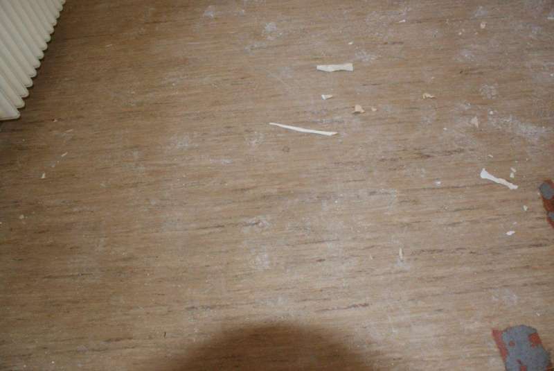 BAU.DE / BAU-Forum: 3. Bild zu Antwort "Zusatzinfo: Asbestanalyse der grauen Pappe im Altbau?" auf die Frage "Bodenplatten identifizieren: Material, Alter & potentielle Gefahren im Altbau?" im BAU-Forum "Baustoffe" BAU.DE / BAU-Forum: 3. Bild zu Antwort "Zusatzinfo: Asbestanalyse der grauen Pappe im Altbau?" auf die Frage "Bodenplatten identifizieren: Material, Alter & potentielle Gefahren im Altbau?" im BAU-Forum "Baustoffe"