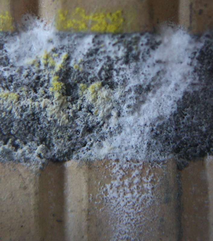 BAU.DE / BAU-Forum: 1. Bild zu Frage "Weiße Ausblühungen im Mörtel: Ursachen, Risiken & Sanierung nach Frost?" im BAU-Forum "Baustoffe" BAU.DE / BAU-Forum: 1. Bild zu Frage "Weiße Ausblühungen im Mörtel: Ursachen, Risiken & Sanierung nach Frost?" im BAU-Forum "Baustoffe"