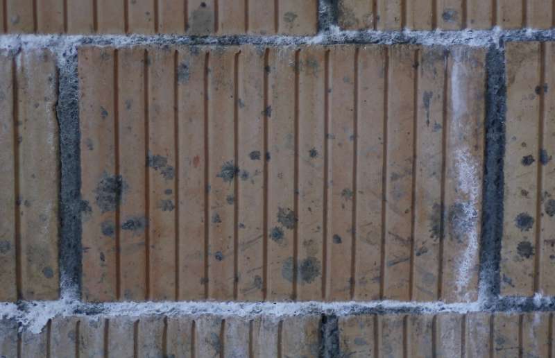 BAU.DE / BAU-Forum: 2. Bild zu Frage "Weiße Ausblühungen im Mörtel: Ursachen, Risiken & Sanierung nach Frost?" im BAU-Forum "Baustoffe" BAU.DE / BAU-Forum: 2. Bild zu Frage "Weiße Ausblühungen im Mörtel: Ursachen, Risiken & Sanierung nach Frost?" im BAU-Forum "Baustoffe"