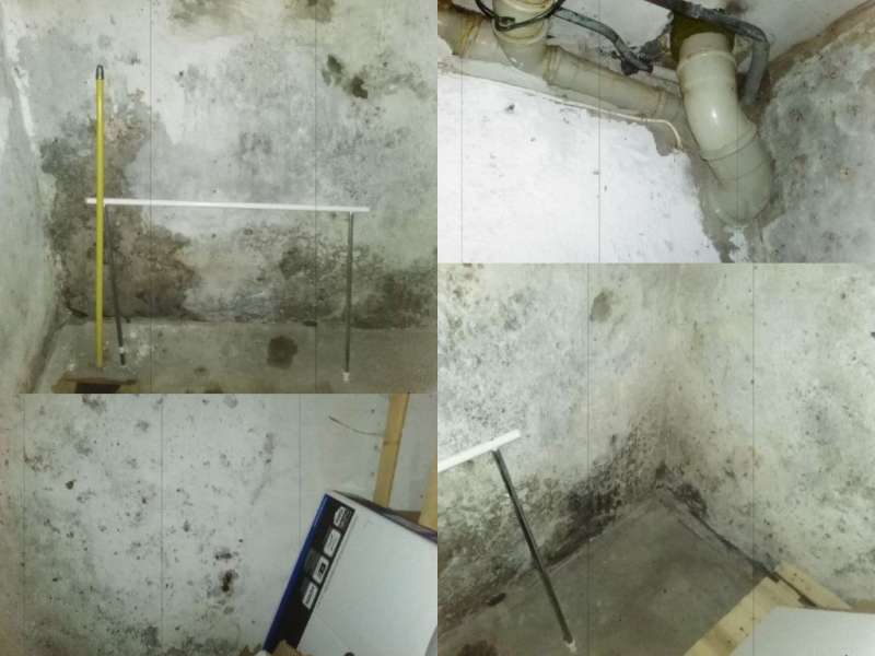 BAU.DE / BAU-Forum: 2. Bild zu Frage "Asbest? Hausschwamm? Schimmel? Gesundheitsgefahr? Bitte um Hilfe" im BAU-Forum "Baustoffe" BAU.DE / BAU-Forum: 2. Bild zu Frage "Asbest? Hausschwamm? Schimmel? Gesundheitsgefahr? Bitte um Hilfe" im BAU-Forum "Baustoffe"