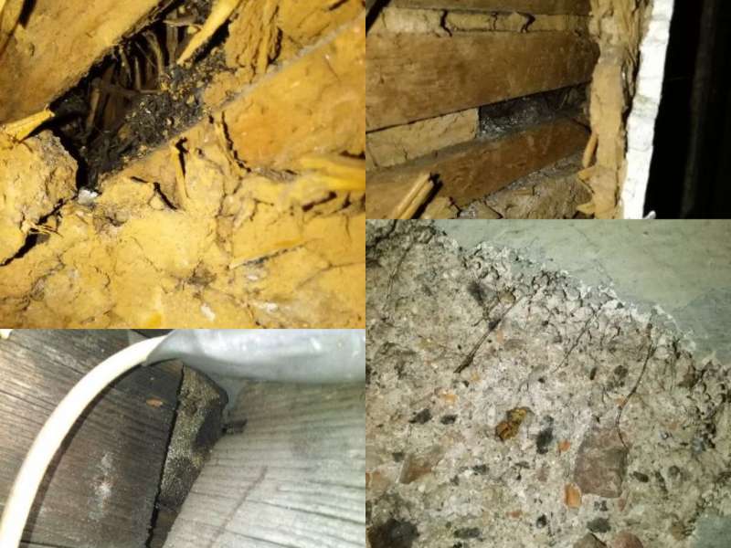 BAU.DE / BAU-Forum: 3. Bild zu Frage "Asbest? Hausschwamm? Schimmel? Gesundheitsgefahr? Bitte um Hilfe" im BAU-Forum "Baustoffe" BAU.DE / BAU-Forum: 3. Bild zu Frage "Asbest? Hausschwamm? Schimmel? Gesundheitsgefahr? Bitte um Hilfe" im BAU-Forum "Baustoffe"