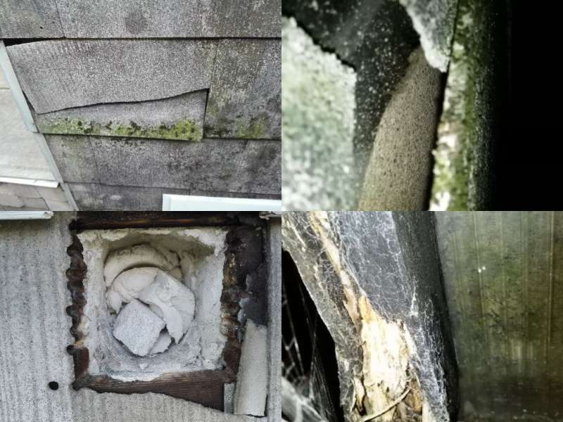 BAU.DE / BAU-Forum: 5. Bild zu Frage "Asbest? Hausschwamm? Schimmel? Gesundheitsgefahr? Bitte um Hilfe" im BAU-Forum "Baustoffe" BAU.DE / BAU-Forum: 5. Bild zu Frage "Asbest? Hausschwamm? Schimmel? Gesundheitsgefahr? Bitte um Hilfe" im BAU-Forum "Baustoffe"