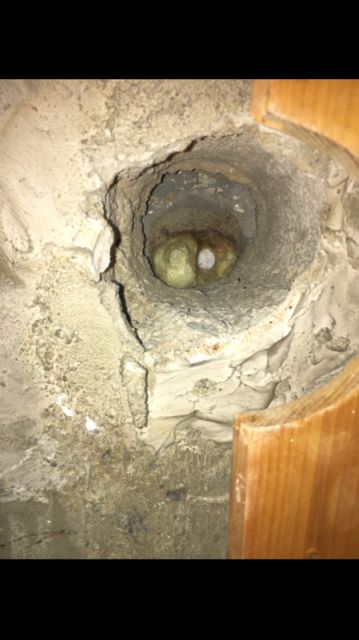 BAU.DE / BAU-Forum: 1. Bild zu Frage "Materialfragen beim Deckendurchbruch" im BAU-Forum "Baustoffe" BAU.DE / BAU-Forum: 1. Bild zu Frage "Materialfragen beim Deckendurchbruch" im BAU-Forum "Baustoffe"