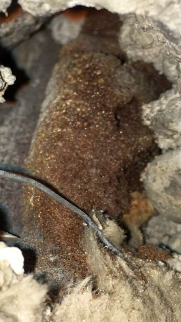 BAU.DE / BAU-Forum: 5. Bild zu Frage "Materialfragen beim Deckendurchbruch" im BAU-Forum "Baustoffe" BAU.DE / BAU-Forum: 5. Bild zu Frage "Materialfragen beim Deckendurchbruch" im BAU-Forum "Baustoffe"