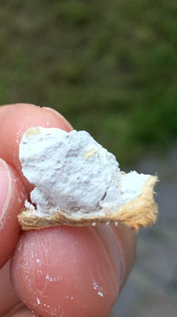 BAU.DE / BAU-Forum: 1. Bild zu Frage "Materialfrage bei Deckenplatte" im BAU-Forum "Baustoffe" BAU.DE / BAU-Forum: 1. Bild zu Frage "Materialfrage bei Deckenplatte" im BAU-Forum "Baustoffe"