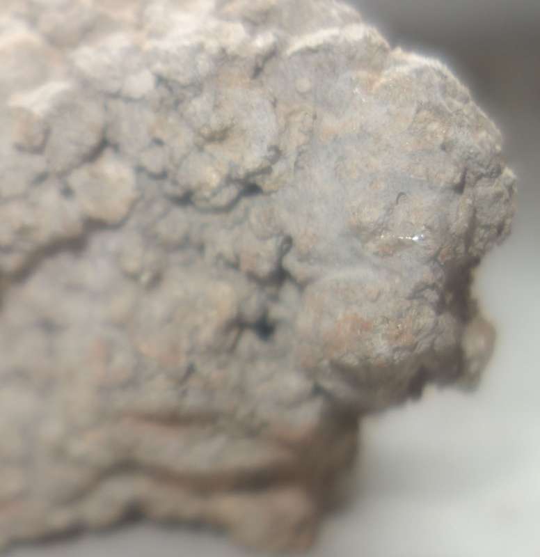 BAU.DE / BAU-Forum: 4. Bild zu Frage "Asbest im Mörtel?" im BAU-Forum "Baustoffe" BAU.DE / BAU-Forum: 4. Bild zu Frage "Asbest im Mörtel?" im BAU-Forum "Baustoffe"