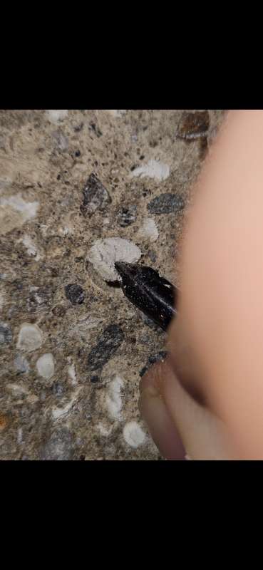 BAU.DE / BAU-Forum: 1. Bild zu Antwort "Auf jeden Fall Schaum" auf die Frage "EPS-Beton U-Wert berechnen: Dämmwirkung, Taupunkt & Kosten bei unbekannter Menge?" im BAU-Forum "Baustoffe" BAU.DE / BAU-Forum: 1. Bild zu Antwort "Auf jeden Fall Schaum" auf die Frage "EPS-Beton U-Wert berechnen: Dämmwirkung, Taupunkt & Kosten bei unbekannter Menge?" im BAU-Forum "Baustoffe"