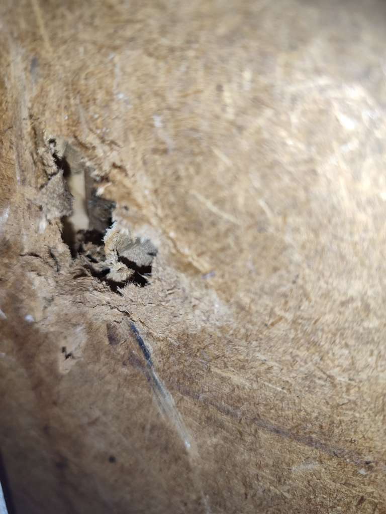 BAU.DE / BAU-Forum: 4. Bild zu Frage "Gartenhaus-Platten bestimmen: Material, Schadstoffe & Sanierung in Thüringen?" im BAU-Forum "Baustoffe" BAU.DE / BAU-Forum: 4. Bild zu Frage "Gartenhaus-Platten bestimmen: Material, Schadstoffe & Sanierung in Thüringen?" im BAU-Forum "Baustoffe"