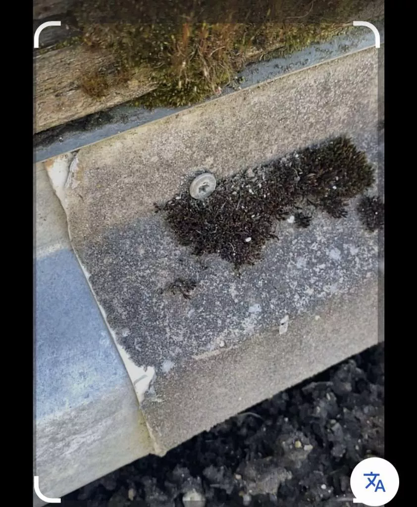 BAU.DE / BAU-Forum: 1. Bild zu Frage "Asbestverdacht im Hochbeet: Altes Dachblech mit Vlies - Gesundheitsrisiko für Kind?" im BAU-Forum "Baustoffe" BAU.DE / BAU-Forum: 1. Bild zu Frage "Asbestverdacht im Hochbeet: Altes Dachblech mit Vlies - Gesundheitsrisiko für Kind?" im BAU-Forum "Baustoffe"