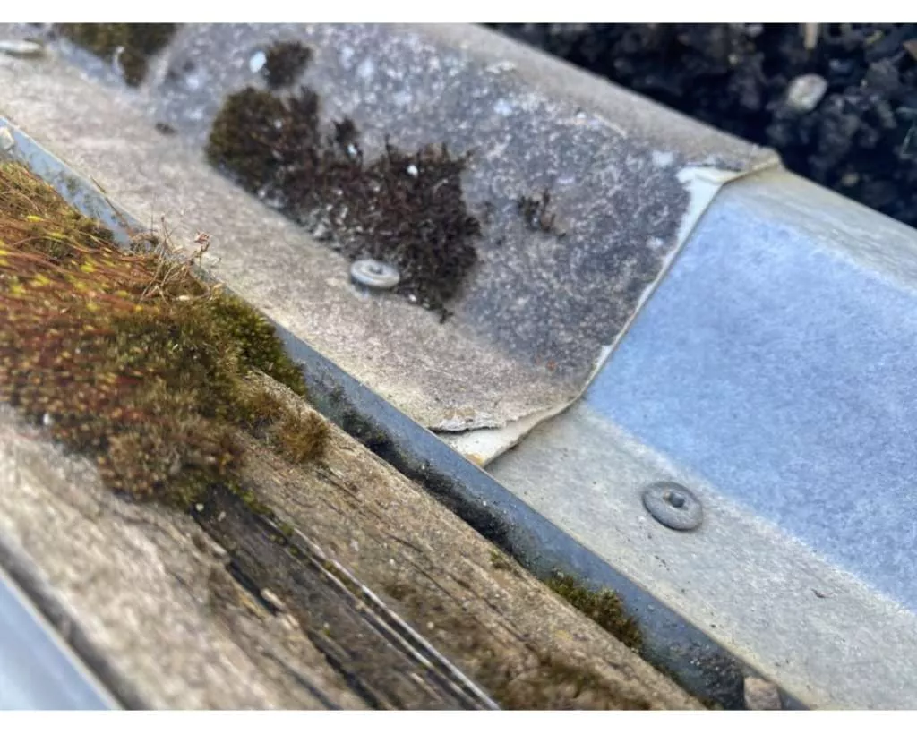 BAU.DE / BAU-Forum: 2. Bild zu Frage "Asbestverdacht im Hochbeet: Altes Dachblech mit Vlies - Gesundheitsrisiko für Kind?" im BAU-Forum "Baustoffe" BAU.DE / BAU-Forum: 2. Bild zu Frage "Asbestverdacht im Hochbeet: Altes Dachblech mit Vlies - Gesundheitsrisiko für Kind?" im BAU-Forum "Baustoffe"