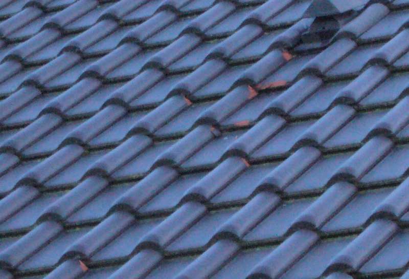 BAU.DE / BAU-Forum: 1. Bild zu Antwort "Frostschäden Dachziegel" auf die Frage "An meinem Dach stellt sich das ..." im BAU-Forum "Dach"