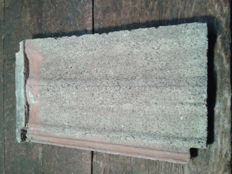 Bild zum BAU-Forumsbeitrag: Suche alte Beton-Dachziegel im Forum Dach