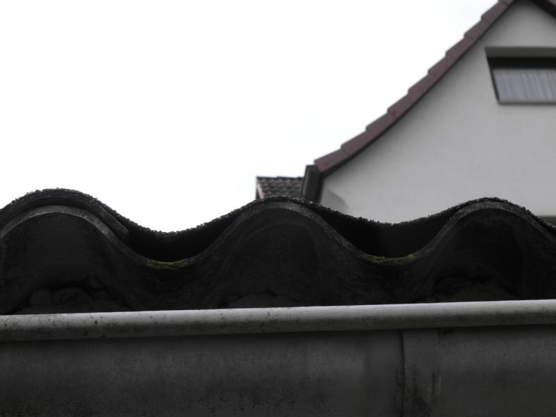 Bild zum BAU-Forumsbeitrag: Garagendach im Forum Dach