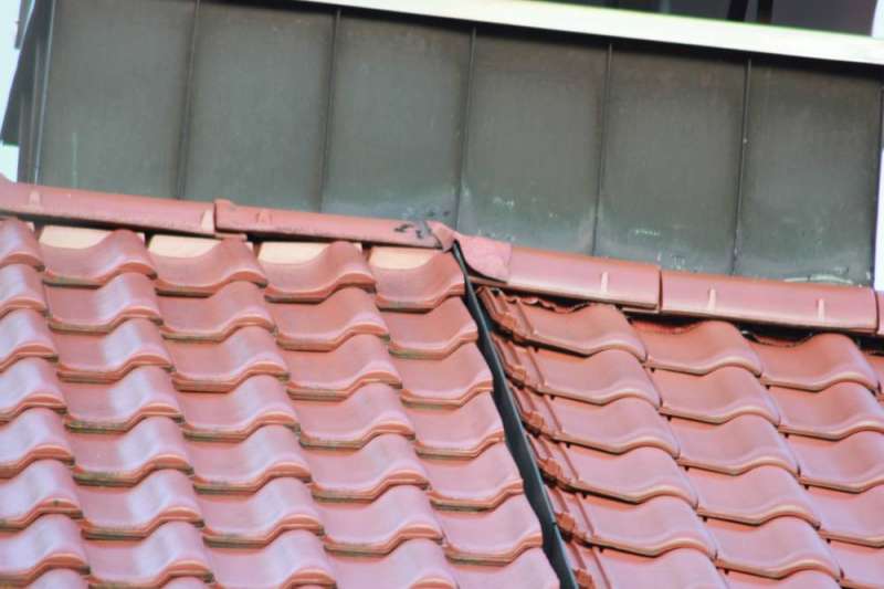 Bild zum BAU-Forumsbeitrag: Dachübergang zum Nachbar nach Neueindeckung im Forum Dach