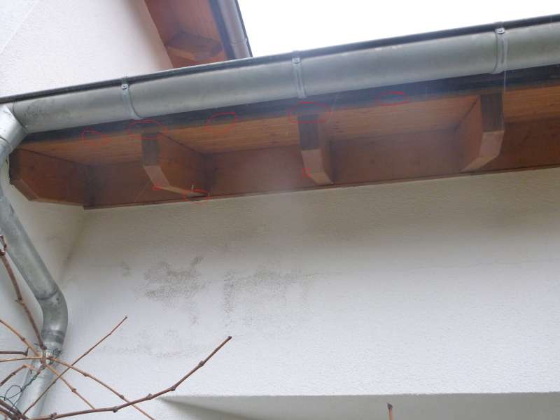 BAU.DE / BAU-Forum: 2. Bild zu Frage "Wasser tropft aus Dachunterlüftung  -  Ursachen?" im BAU-Forum "Dach"