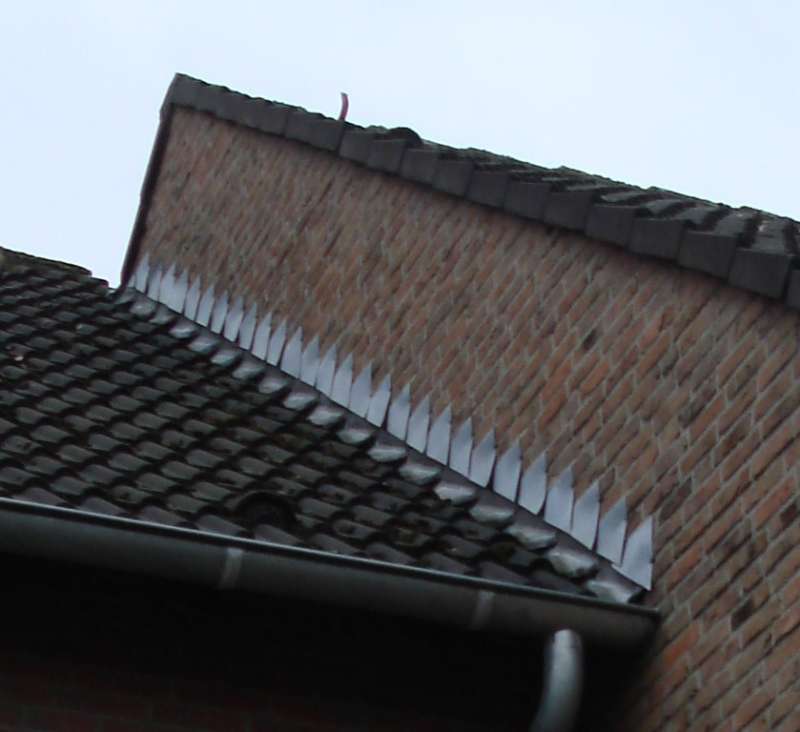 BAU.DE / BAU-Forum: 1. Bild zu Frage "Wiederherstellung Dachanschluss an Nachbarwand" im BAU-Forum "Dach"