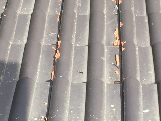 Bild zum BAU-Forumsbeitrag: CREATON Dachziegel im Forum Dach