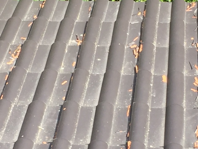 BAU.DE / BAU-Forum: 2. Bild zu Frage "CREATON Dachziegel" im BAU-Forum "Dach" BAU.DE / BAU-Forum: 2. Bild zu Frage "CREATON Dachziegel" im BAU-Forum "Dach"