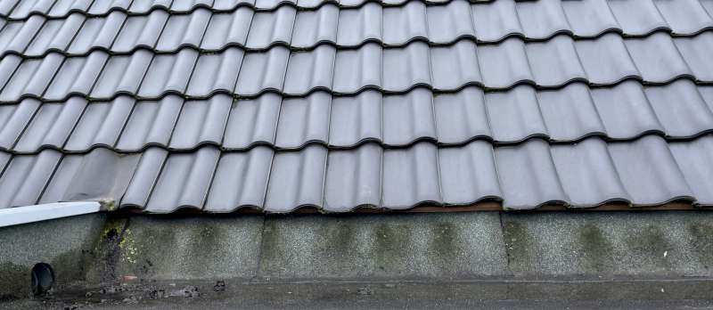 BAU.DE / BAU-Forum: 2. Bild zu Frage "Wasserschaden Flachdachgaube: Ursachen, Trocknung & Kosten nach Wassereintritt?" im BAU-Forum "Dach" BAU.DE / BAU-Forum: 2. Bild zu Frage "Wasserschaden Flachdachgaube: Ursachen, Trocknung & Kosten nach Wassereintritt?" im BAU-Forum "Dach"