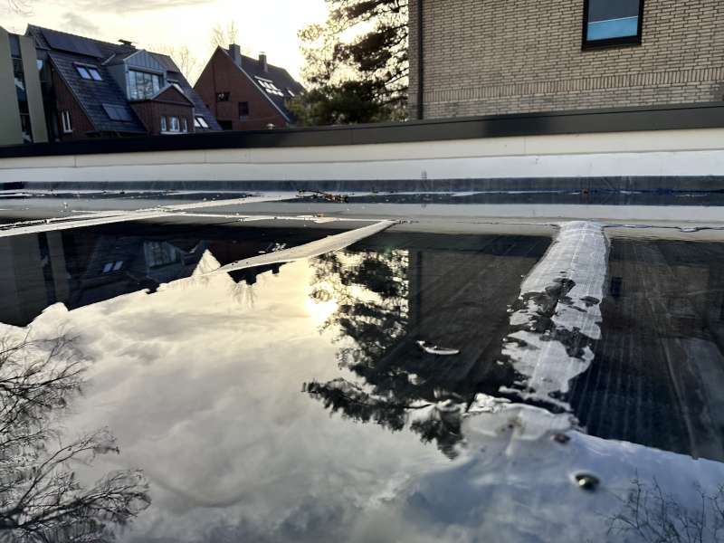Bild zum BAU-Forumsbeitrag: Flachdach auf dem Gartenhaus mangelhaft? im Forum Dach