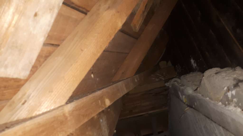 BAU.DE / BAU-Forum: 1. Bild zu Antwort "Trapezgaube -" auf die Frage "Anbringung Dampfbremse an Gaube" im BAU-Forum "Dach" BAU.DE / BAU-Forum: 1. Bild zu Antwort "Trapezgaube -" auf die Frage "Anbringung Dampfbremse an Gaube" im BAU-Forum "Dach"