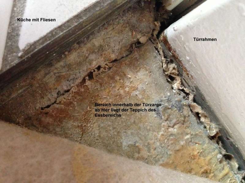 BAU.DE / BAU-Forum: 2. Bild zu Frage "Knackender Boden in Wohnung: Decken-Einsturzgefahr? Ursachen & Sofortmaßnahmen" im BAU-Forum "Estrich und Bodenbeläge" BAU.DE / BAU-Forum: 2. Bild zu Frage "Knackender Boden in Wohnung: Decken-Einsturzgefahr? Ursachen & Sofortmaßnahmen" im BAU-Forum "Estrich und Bodenbeläge"