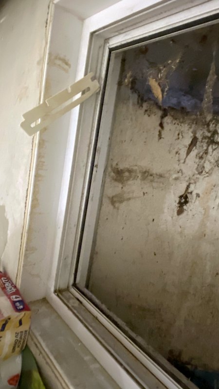 BAU.DE / BAU-Forum: 2. Bild zu Frage "Kellerfenster Ausbauen: Anleitung, Tipps & Werkzeug für den sicheren Ausbau?" im BAU-Forum "Fenster und Außentüren" BAU.DE / BAU-Forum: 2. Bild zu Frage "Kellerfenster Ausbauen: Anleitung, Tipps & Werkzeug für den sicheren Ausbau?" im BAU-Forum "Fenster und Außentüren"