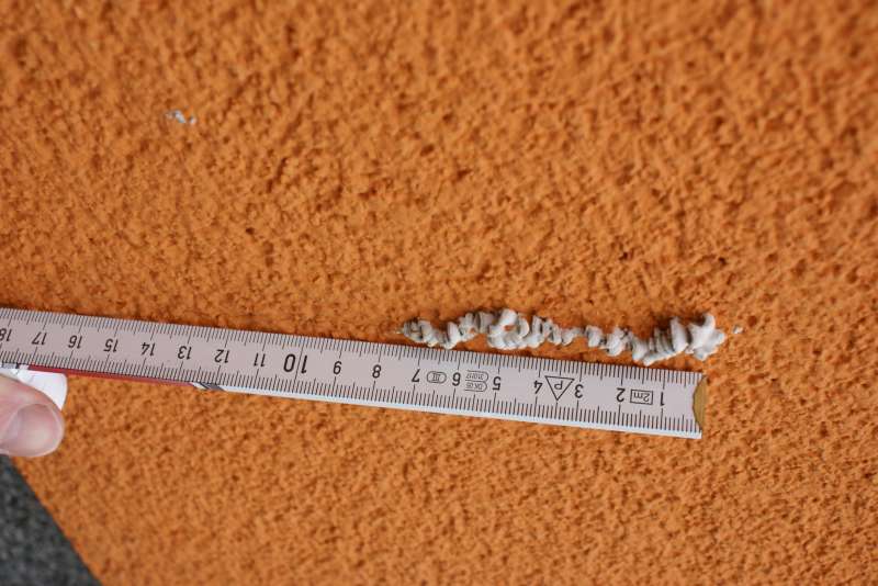 Bild zum BAU-Forumsbeitrag: Pilz an der Außenfassade im Forum Fertighaus