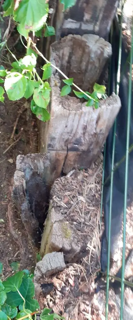 BAU.DE / BAU-Forum: 2. Bild zu Frage "Höhenunterschied Terrasse: Wer haftet für Hangsicherung & Kosten bei maroden Bahnschwellen?" im BAU-Forum "Rund um den Garten" BAU.DE / BAU-Forum: 2. Bild zu Frage "Höhenunterschied Terrasse: Wer haftet für Hangsicherung & Kosten bei maroden Bahnschwellen?" im BAU-Forum "Rund um den Garten"