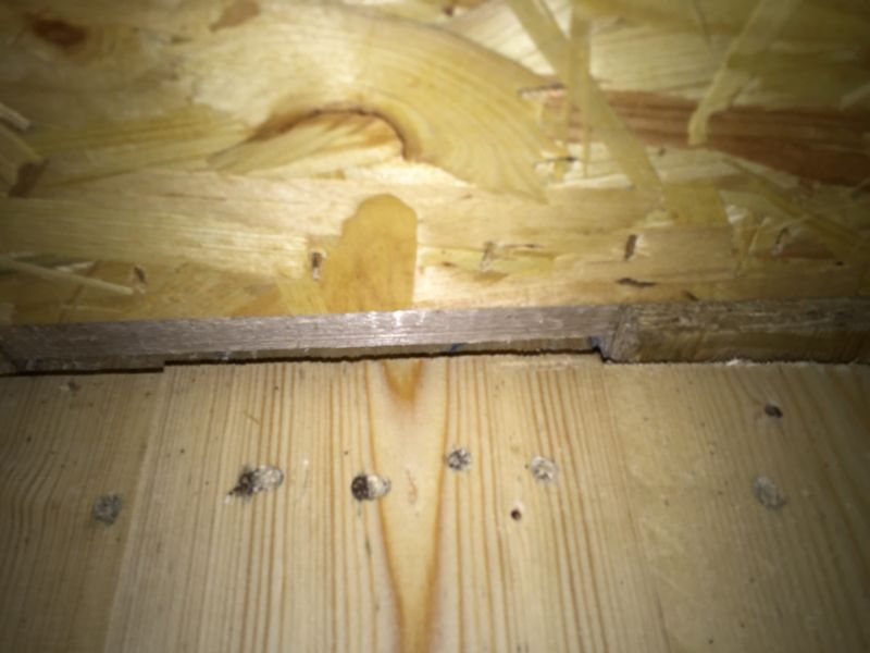 BAU.DE / BAU-Forum: 2. Bild zu Frage "OSB Stöße dicht hinter der offenen holzbalkebdecke? Beide Geschosse nicht miteinander verklebt? Ist das so richtig" im BAU-Forum "Holzbau" BAU.DE / BAU-Forum: 2. Bild zu Frage "OSB Stöße dicht hinter der offenen holzbalkebdecke? Beide Geschosse nicht miteinander verklebt? Ist das so richtig" im BAU-Forum "Holzbau"