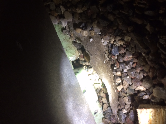 BAU.DE / BAU-Forum: 2. Bild zu Frage "Mäuse im Holzrahmenhaus: Ursachen, Bekämpfung & Schutz der Sockeldämmung?" im BAU-Forum "Holzbau" BAU.DE / BAU-Forum: 2. Bild zu Frage "Mäuse im Holzrahmenhaus: Ursachen, Bekämpfung & Schutz der Sockeldämmung?" im BAU-Forum "Holzbau"