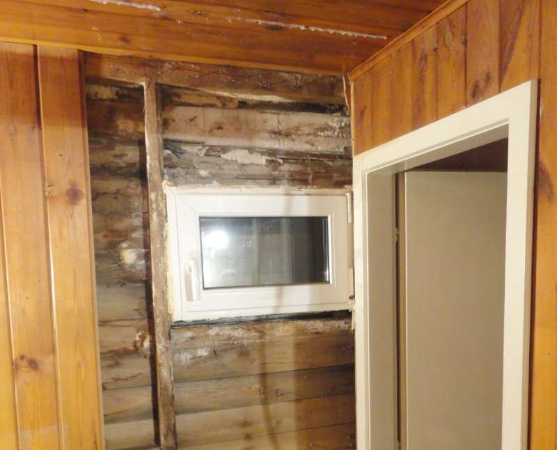 BAU.DE / BAU-Forum: 1. Bild zu Frage "Feuchteschaden im Holzhaus: Pilzarten erkennen, beseitigen & Ursachen beheben?" im BAU-Forum "Holzschutz, Holzschäden, Holzsanierung" BAU.DE / BAU-Forum: 1. Bild zu Frage "Feuchteschaden im Holzhaus: Pilzarten erkennen, beseitigen & Ursachen beheben?" im BAU-Forum "Holzschutz, Holzschäden, Holzsanierung"